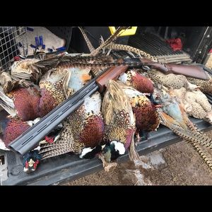 Meet your Posher, Jeremy